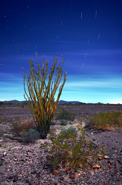 2008-02-17-e-00358-2016